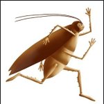 º 바퀴에 관한 재미난 이야기들 +