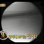★★공익을 <b>비판</b>하지 마세요★★