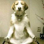 아헤에에헤헤에헤에헤엫에엫에헤에헹헤에?(해석)