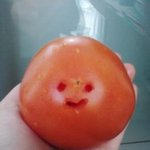 사진有♣♣<b>토리</b>가 말하는 여중생의 빨대와 토마토♣♣
