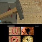 [잔인주의] 개구리소년 살해<b>도구</b> . jpg