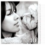 못말리는 <b>애견</b>사랑의 국내 톱스타들 총 모음!