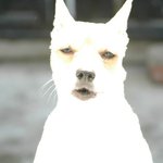 ★★충격실화 여대생 새벽 2시 버스 안에 홀로 갇히다!!!★★
