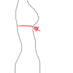 우리나라 여자들이 전부 a<b>컵</b>인 이유(필독좀 해줘요!)