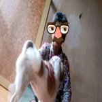 저의강아지가너무너무너무너무기여워요ㅋㅋㅋㅋㅋ