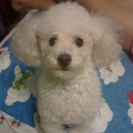 ■■■★☆[사진有]  제 동생의 만행....★☆■■■