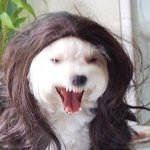 다들 조심!! 눈뜨고 코베인 나란 <b>녀자</b> 못난 <b>녀자</b>