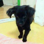 이할아버지를 어떡해 해야할까요?