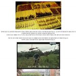 한국인의중국(벌레)음식<b>체험</b>기.