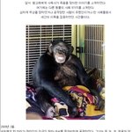 <b>동물</b>들의(인간)공격 7가지.