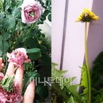 (((혐오!!))) 일본 방사능 무서운사람 봅니다~~~~~!!!...