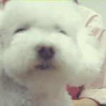 예비대학생들에게 추천해주고 싶은 몇가지