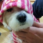 ★★ohoh★★크리스 마스 이브!!!! 공연 놀이!!!!★★사진有★★