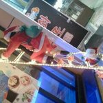 ((사진 有))★★★★★★★★목포시 시내 캔모*에서 케잌먹다가☆☆☆☆☆☆☆☆