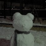 ★★★백곰이 나타났어요!!! (사진有)★★★