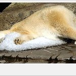 <b>merry</b> chrismas