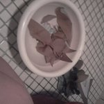 (사진有) 크리스마스ㅋ? 우린 똥<b>day</b>다!!!!!!!!★★★★★★★★★★