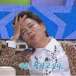 [펌] 붐 전진사칭사전 총 정리