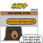 웃긴<b>만화</b>
