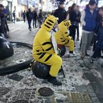 <b>안양</b>에서만난 호랑이! ★☆★☆