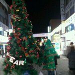 ■■■■사진有)대전에서 훈남과 트리의 프리허그후기■■■