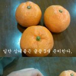 ★★(사진有)요즘 대세는 귤까기★★