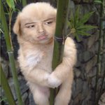 ★★ 대마주세염 대마..<b>대에</b>에에마 ★★