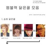 ★★★여러 아이<b>돌들</b>을 통해서 간 엠블랙 멤버들의 닮은꼴★★