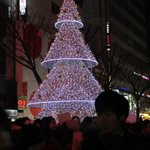 ★☆★명동24~25일 <b>흰색</b>트리앞에서저보신분★☆★