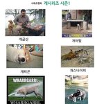 <b>개</b>(멍멍이) 씨리즈 <b>총</b>정리...ㅋㅋㅋ