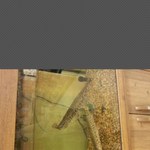 (사진有)여러분 저 폰카메라로 귀신 찍었음 ㅠㅠㅜㅠㅜㅠㅜㅠㅠ