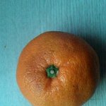 ★★★할짓없어서길게깐귤 과정有<b>재석</b>★★★