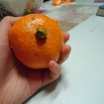 사진有有)귤을먹다가...ㅋㅋㅋㅋㅋㅋ