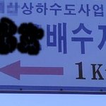(사진有느님)☆★☆★놀람주의☆★☆★ 시골에 수지<b>출현</b>