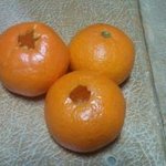 <<수정!!사진도+함!!>>핳..귤..<b>신</b>..<b>이</b>..뭐얗..(사진有)