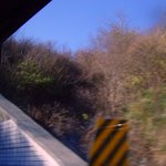 <b>외할머니</b>가 들려주신 신기한이야기5