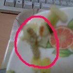 ★★★혐오,사진有 ㄲㄲ면에서 애벌레나옴★★★