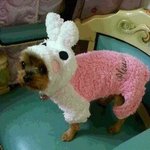 <사진有/개판>개얼짱 박땡이를 소개합니다!!