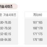 신장에 따른 가장 아름다운 가슴크기