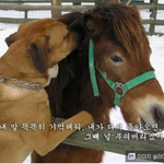 ☆★☆★이제 19.999살의 마음이 <b>일치</b>할때가 왔다!!!☆★☆★