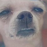 <b>하아</b>....톡커님들아 나 어째요