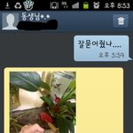 ※ 새벽에 전화 온 언니가 펑펑 운 사연