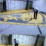★☆★__위엄돋는 한예종 <b>수위</b>아저씨__★☆★