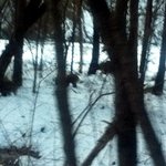 오랫만인데요 ㅋ  죽을뻔했심 <b>호호</b>