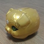 ★★★★★우리집돼지저금통 배 가른날!!★★★★★