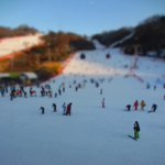 #2_스무살의 ixus 순간이동 bus와 함께 대명 비발디 파크로...