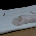 ★★★★★세상에서가장특별한마늘★★★★★