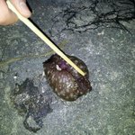 (사진有) 이게 뭐야 ? 뭔지아는사람!  혐오스러