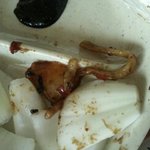 ★★★짜장면이이래도되는건가요 ?★★★사진 有