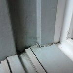 <b>청소업체</b>가 저보고 알아서 하래요.